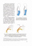 Анатомия йоги (новая редакция) — фото, картинка — 17
