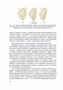 Анатомия йоги (новая редакция) — фото, картинка — 20