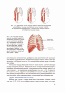 Анатомия йоги (новая редакция) — фото, картинка — 21