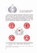 Анатомия йоги (новая редакция) — фото, картинка — 24