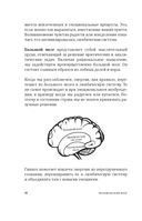 Перепрошивка мозга: как заново запрограммировать подсознание — фото, картинка — 14