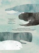 Киты и мы — фото, картинка — 1