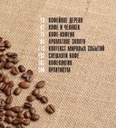 Кофеология. История кофе: от плода до вдохновляющей чашки спешалти кофе — фото, картинка — 5
