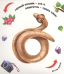 Чудесные превращения. Превращения в зоопарке — фото, картинка — 4