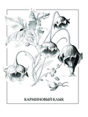 Флорариум: кровожадные цветы, таинственные мхи и безжалостные кактусы — фото, картинка — 4