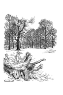 Питер Пэн и Венди. Дети воды. Ветер в ивах — фото, картинка — 9