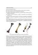 От Arduino до Omega. Платформы для мейкеров шаг за шагом — фото, картинка — 20