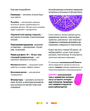 Рисуем пластилином! Красивые картины для детей и их родителей — фото, картинка — 14