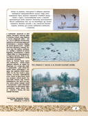 50 лучших мест для охоты в России — фото, картинка — 5