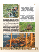 50 лучших мест для охоты в России — фото, картинка — 7