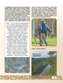 50 лучших мест для охоты в России — фото, картинка — 9