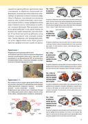 Интеллект. Упражнения и задания по японской системе развития мозга — фото, картинка — 3