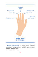 Межполушарное взаимодействие. Задания для развития ребёнка — фото, картинка — 3