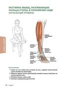 Анатомия упражнений на растяжку — фото, картинка — 17