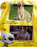 Ми-ми-мишки. Животный мир — фото, картинка — 1