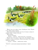 Золотой луг. Рассказы о животных — фото, картинка — 5