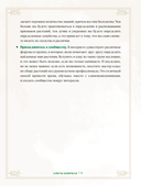 Травы. Магические запасы — фото, картинка — 14