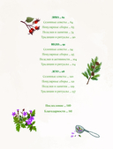 Травы. Магические запасы — фото, картинка — 3