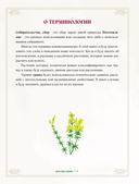 Травы. Магические запасы — фото, картинка — 8