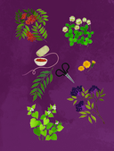 Травы. Магические запасы — фото, картинка — 9