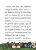 Пиратский квест: история в летнем лагере — фото, картинка — 3