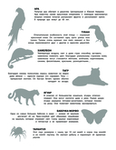 150 наклеек. В джунглях — фото, картинка — 2