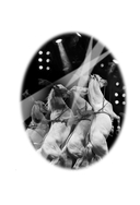 Нэнси Дрю и дело в цирке — фото, картинка — 2