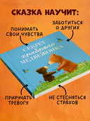 Секрет храброго медвежонка — фото, картинка — 3