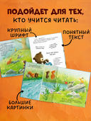 Секрет храброго медвежонка — фото, картинка — 4