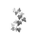 Камея из Ватикана — фото, картинка — 1