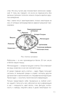 Ешь больше, тренируйся меньше, выгляди лучше! — фото, картинка — 11