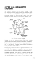 Ешь больше, тренируйся меньше, выгляди лучше! — фото, картинка — 15