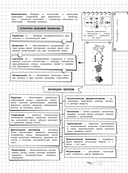 Биология — фото, картинка — 11