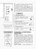 Биология — фото, картинка — 14