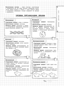 Биология — фото, картинка — 7