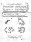 Биология — фото, картинка — 9