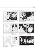 Сказки со всего мира. Раскрашиваем волшебные миры Мари Катоги: от Алисы до Золушки — фото, картинка — 5