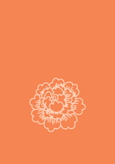 Мир вокруг нас. Уровень 1 — фото, картинка — 4