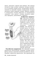Идеальные мышцы рук — фото, картинка — 8