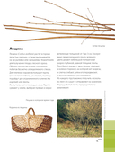 Плетение из лозы от А до Я. Полное практическое руководство для начинающих — фото, картинка — 13