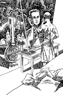 Разыгрыш Творца — фото, картинка — 8