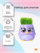 Набор для опытов 