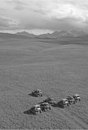 Вызов. Квесты для героев. Путь из будущего — фото, картинка — 4