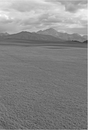 Вызов. Квесты для героев. Путь из будущего — фото, картинка — 5