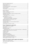 Как создать дракона — фото, картинка — 3