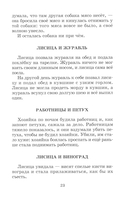 Басни, сказки, рассказы — фото, картинка — 8