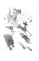 Басни, сказки, рассказы — фото, картинка — 10