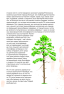 Деревья. Атлас-определитель — фото, картинка — 5