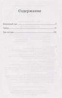 Вишневый сад — фото, картинка — 1