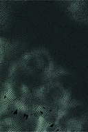 Поднятие уровня с богами. Том 1 — фото, картинка — 6